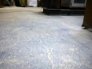 Биоповреждение бетона цена на монолитный керамзитобетон